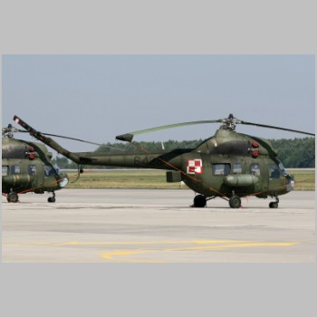 Mi-2_6429_Krzesiny_Poland.jpg